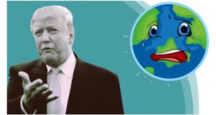 Donald Trump vs the World