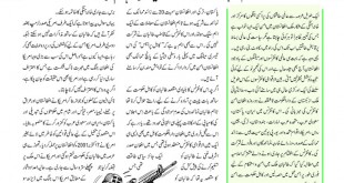 Jahangir’s World Times Urdu (Page 49)
