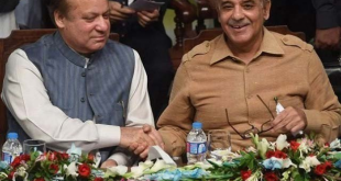 Five years in power – PML-N largely delivered on promises