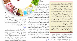Jahangir’s World Times Urdu (Page 65)