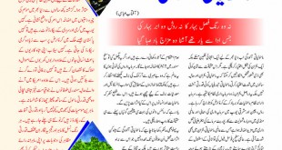 Jahangir’s World Times Urdu (Page 82)