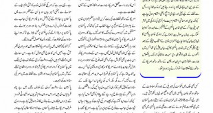 Jahangir’s World Times Urdu (Page 28)