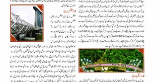 Urdu World Times