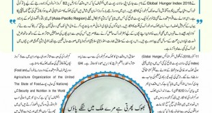 Urdu World Times