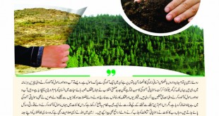 Jahangir’s World Times Urdu