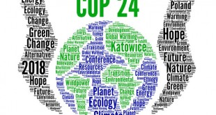 What is in Paris Agreement Rulebook forged at Katowice?
