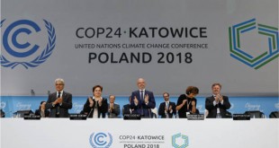 COP24 Rulebook and the Future