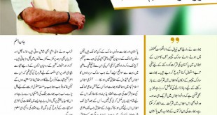 Jahangir’s World Times Urdu, March 2019 (Page 14)