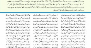 Jahangir’s World Times Urdu, March 2019 (Page 49)