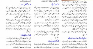 Jahangir’s World Times Urdu, Feb 2019 (Page 60)