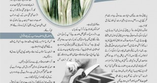 Jahangir’s World Times Urdu, Feb 2019 (Page 65)