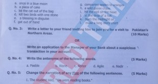 PMS-2019 English Paper