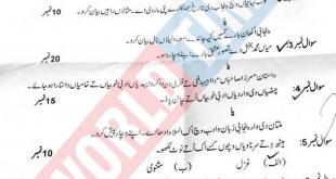 PMS-2019 Punjabi Paper II