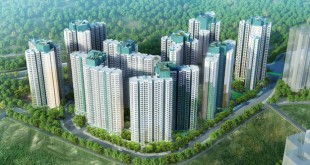 Vertical Construction and GREEN SPACES