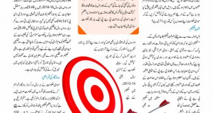 Jahangir’s World Times Urdu, May 2019 (Page 25)