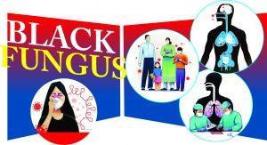 Read more about the article Black Fungus