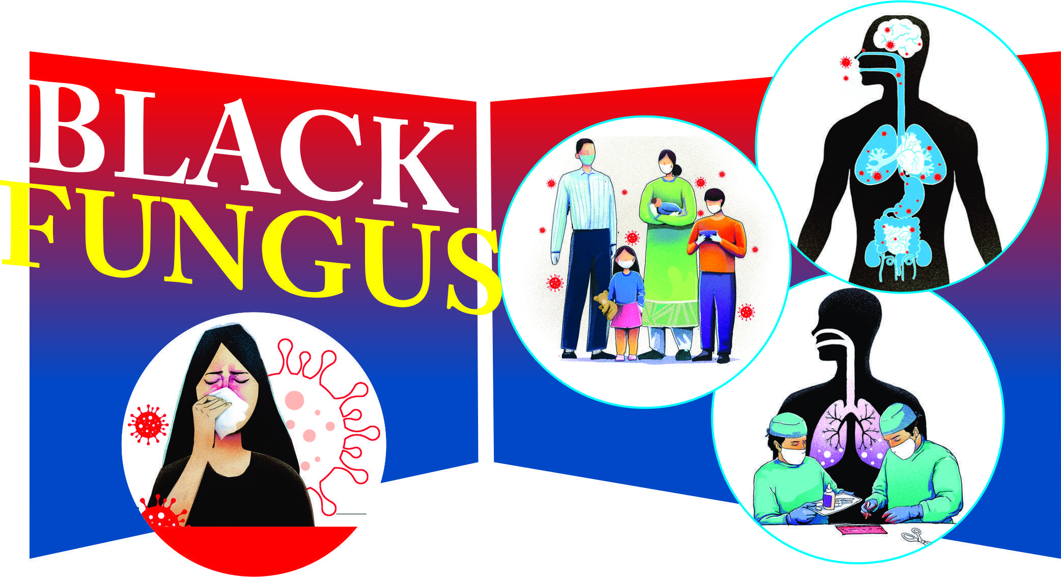Read more about the article Black Fungus