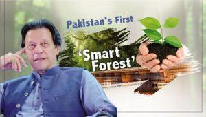 Read more about the article Pakistan’s First ‘Smart Forest’