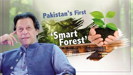 You are currently viewing Pakistan’s First ‘Smart Forest’