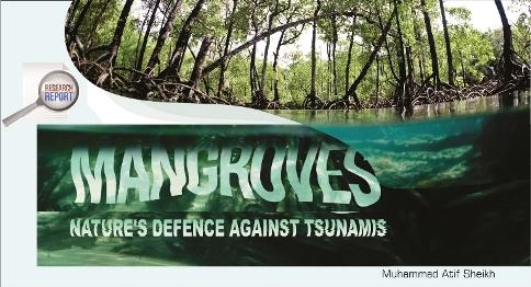 Read more about the article Mangroves Nature’s Defence Against Tsunamis