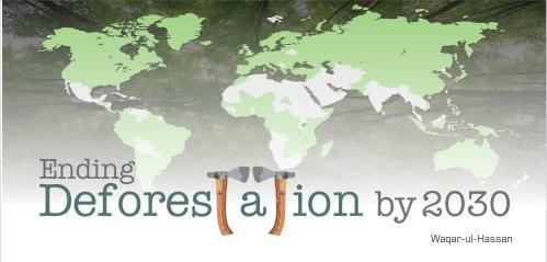 Read more about the article Ending Deforestation by 2030