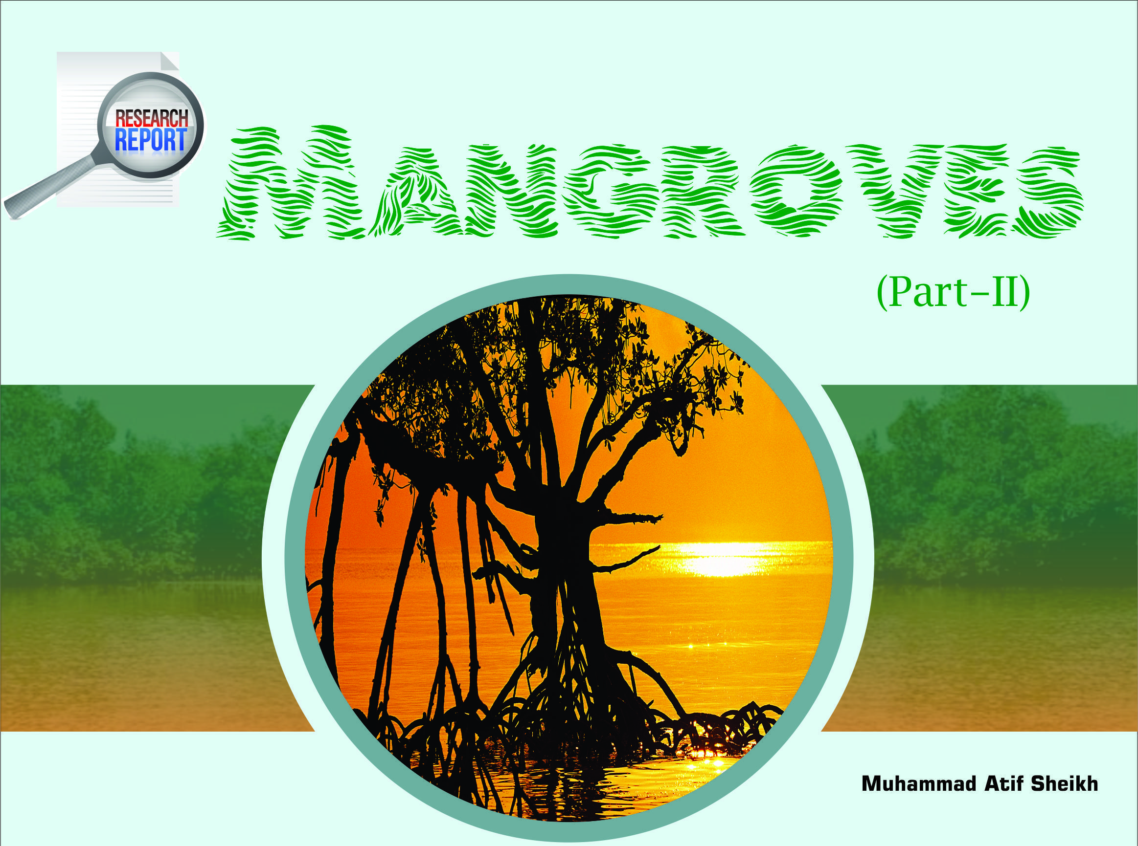 You are currently viewing Mangroves Part II