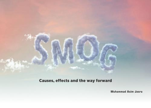 Read more about the article SMOG
