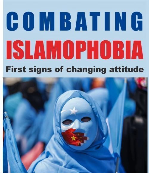 You are currently viewing COMBATING ISLAMOPHOBIA