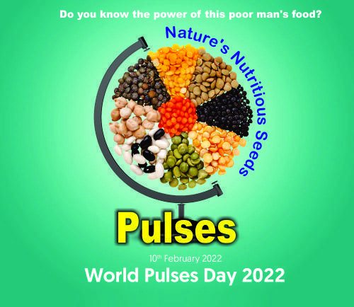 Read more about the article Pulses 10th February 2022
