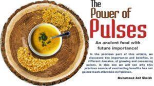 Read more about the article The Power of Pulses