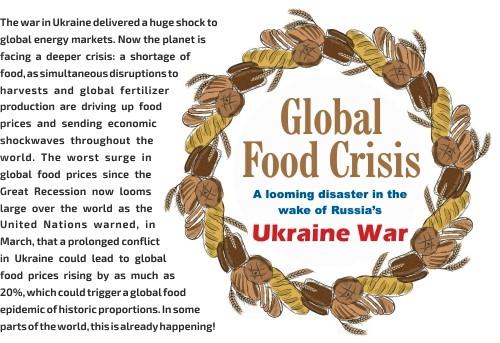 You are currently viewing Global Food Crisis