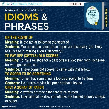 Read more about the article Discovering The World of Idioms & Phrases