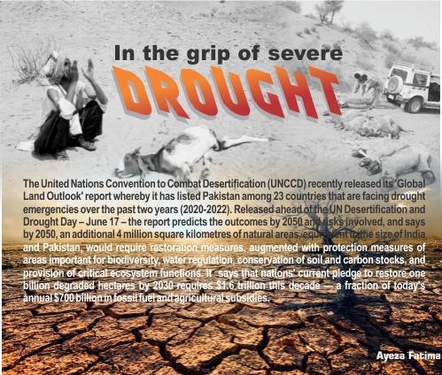 Read more about the article In the grip of severe DROUGHT