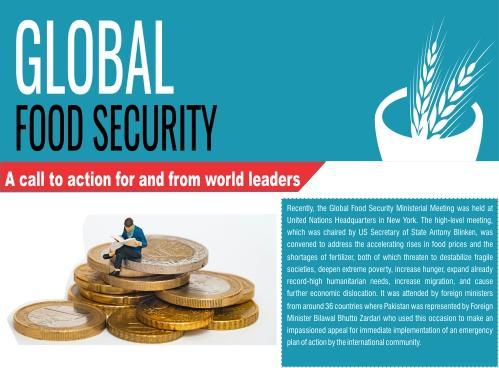 Read more about the article Global Food Security