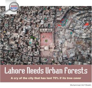 Read more about the article Lahore Needs Urban Forests