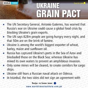 Read more about the article UKRAINE GRAIN PACT