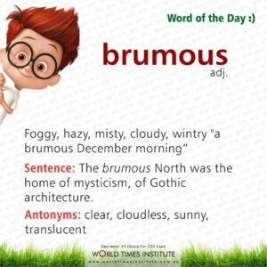 Read more about the article Word of the Day-Brumous