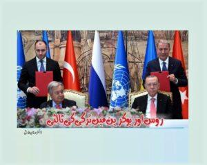 Read more about the article روس اور یوکرین میں ترکی کی ثالثی