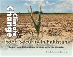 Read more about the article Climate Change & Food Security in Pakistan