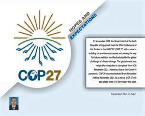Read more about the article COP 27 HOPES AND EXPECTATIONS