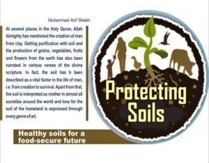 Read more about the article Protecting Soils