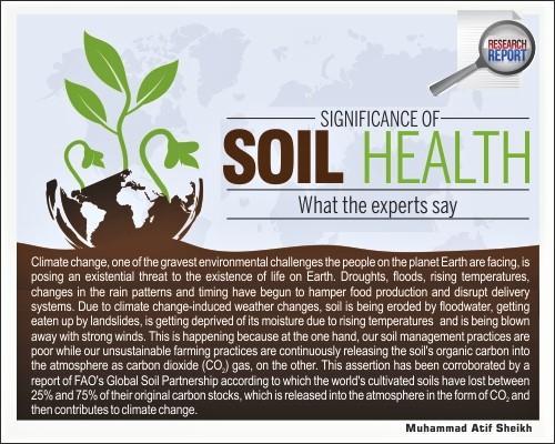 You are currently viewing Significance of Soil Health