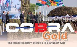 Read more about the article COBRA Gold