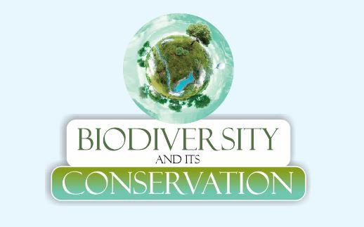 Read more about the article Biodiversity and Its Conservation