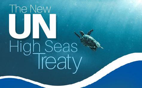 You are currently viewing The New UN High Seas Treaty
