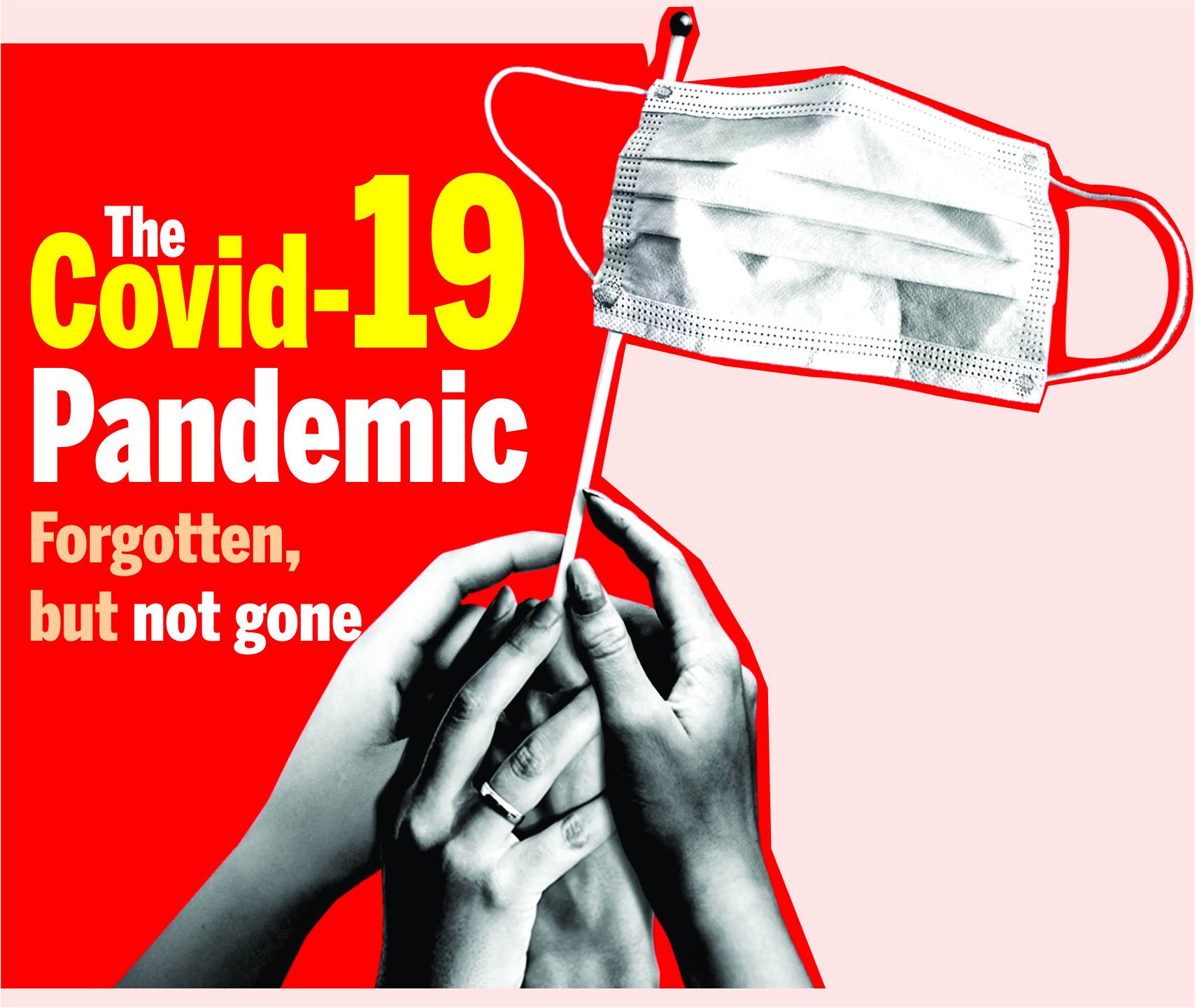 Read more about the article The Covid-19 Pandemic