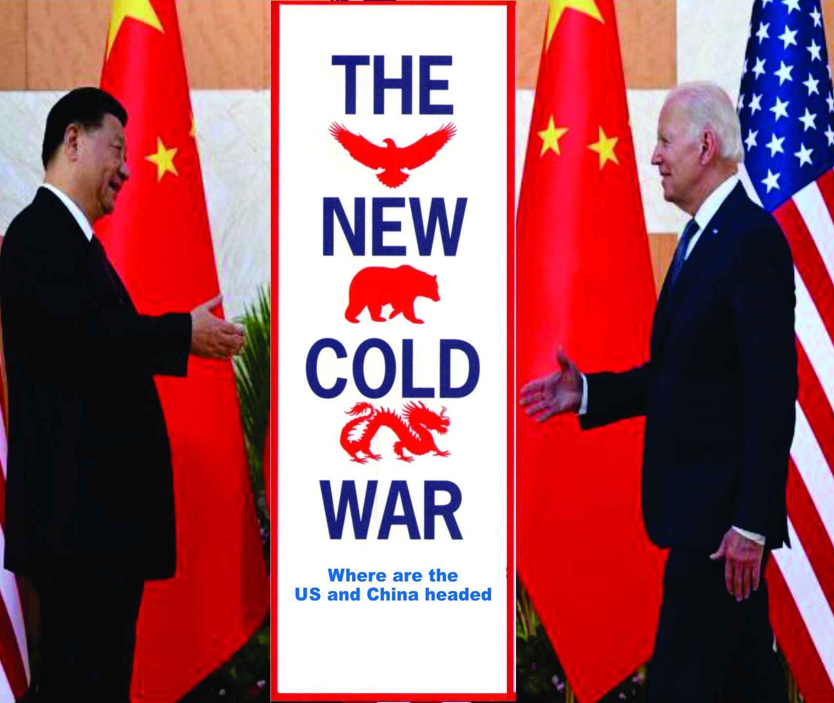 Read more about the article The New Cold War