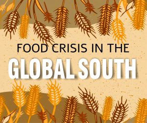 Read more about the article Food Crisis in the Global South