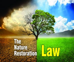 Read more about the article The Nature Restoration Law