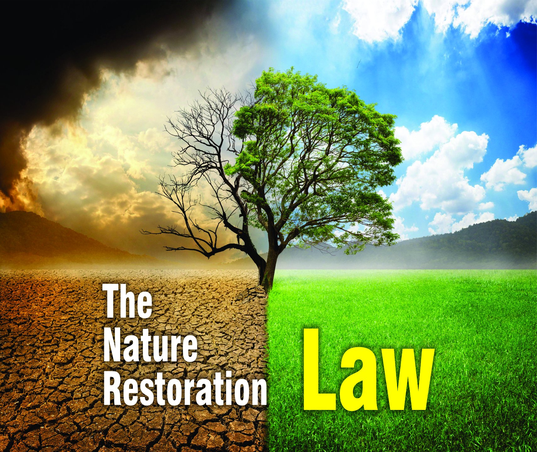 Read more about the article The Nature Restoration Law